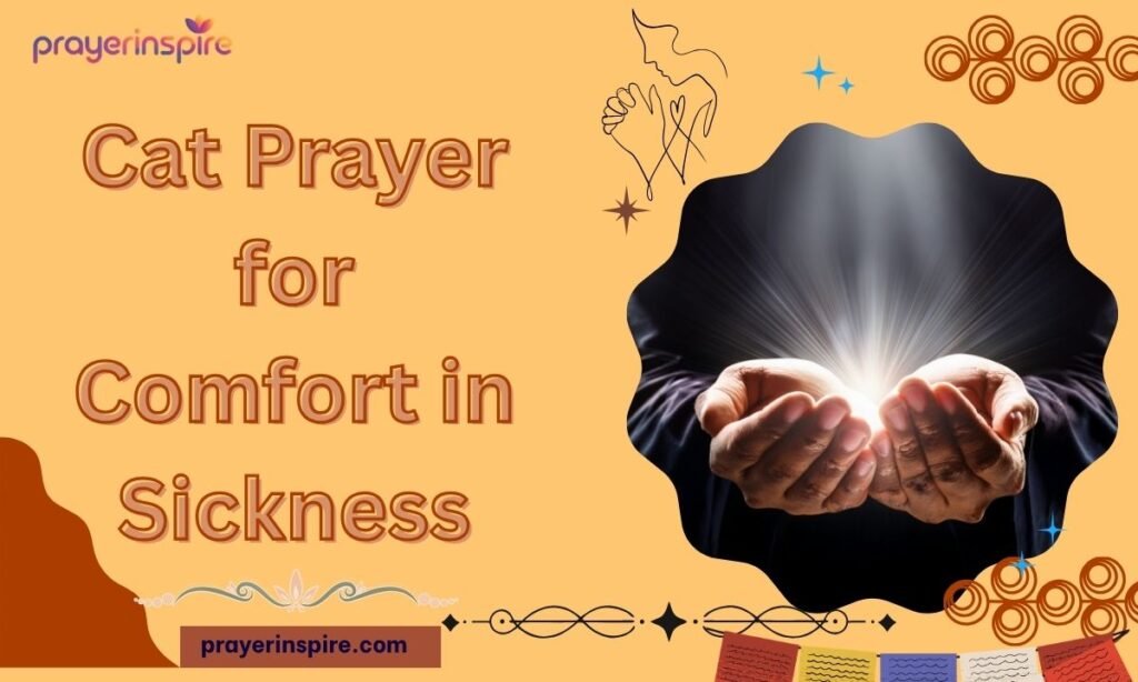 Cat Prayer for Comfort in Sickness