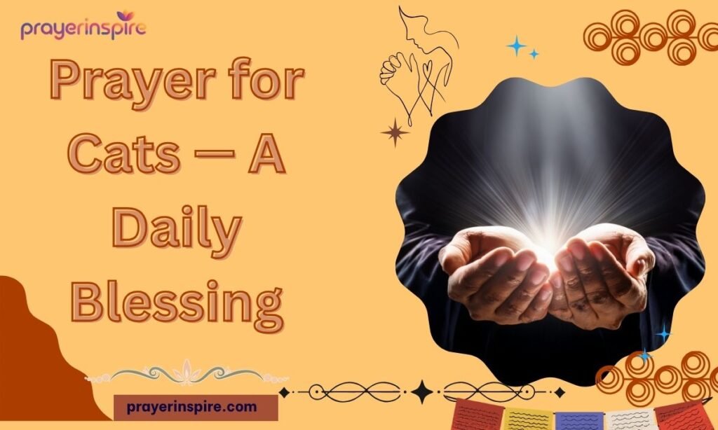 Prayer for Cats — A Daily Blessing